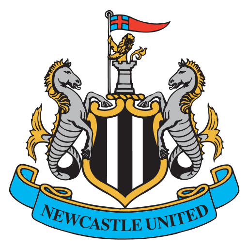 Newcastle flag Newcastle flag